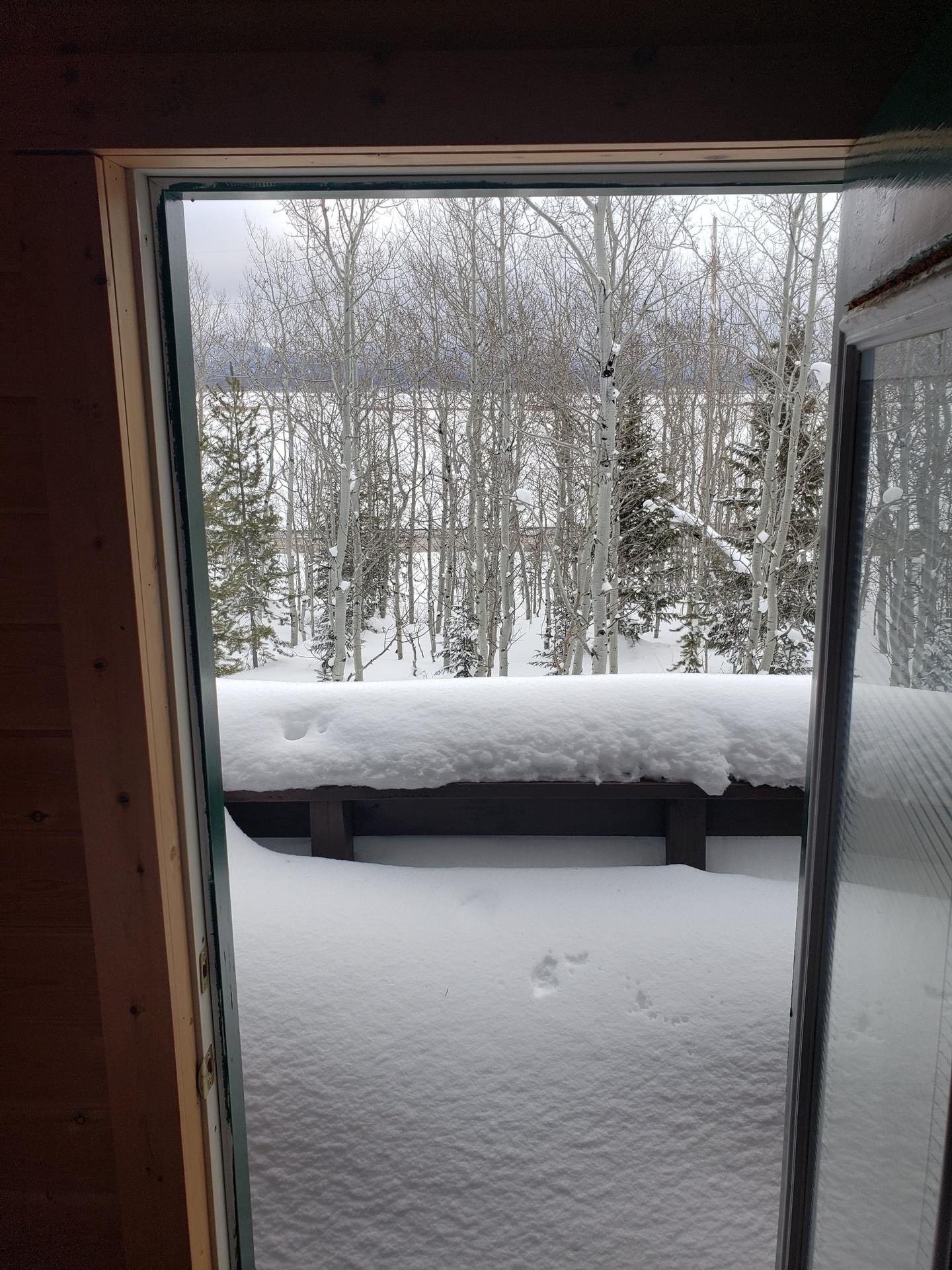 Snowy view from the cabin door, Lazy Moose Lodge