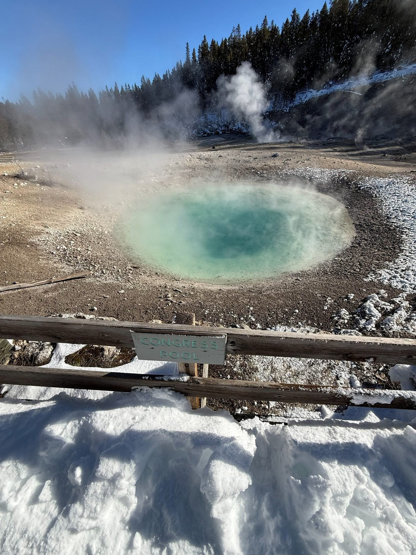 A turquoise hot spring surrounded by snow, with steam rising and pines behind